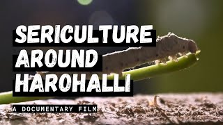 Sericulture Around Harohalli - A Documentary Film