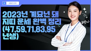 2023년 계묘년 돼지띠 운세 완벽 정리 (47,59,71,83,95년생)