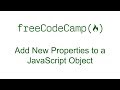 Add New Properties to a JavaScript Object - Free Code Camp