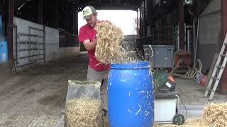 Growing mushrooms on straw