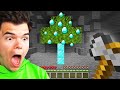 Minecraft But We Swapped Wood with Diamonds... (confusing)