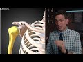 ja morant season ending shoulder surgery doctor reacts