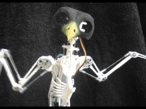 Animatronic Bird Test 2. Animatronic Bird Test 2.
