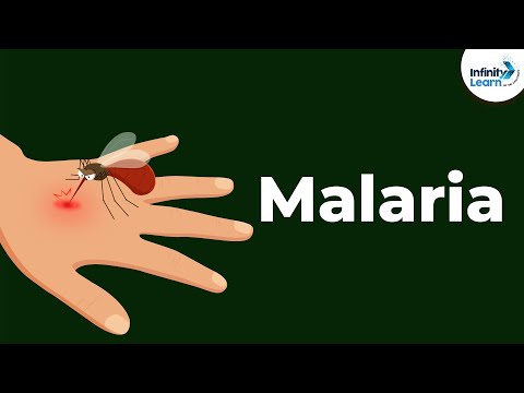 What is the common name for malaria?