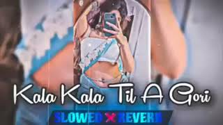 tohra galiya ke kala kala til a gori lofi song | bhojpuri lofi song (slowed reverb) |