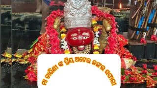 ମା ତାରିଣୀ ଙ୍କ ପ୍ରିୟ ଜଙ୍ଗଲ ଏକ ନୂଆ ରୂପରେ🙏 ଏକ ଦର୍ଶନୀୟ ସ୍ଥାନ ଭାବରେ ଜଙ୍ଗଲ କୁ ସଜ୍ଜିତ କରାଯାଇଛି 🙏