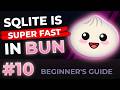 SQLite Databases in Bun | Beginner's Guide to Bun #9