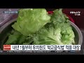 유치원은 급식 위생 사각지대…학부모 불안 연합뉴스tv yonhapnewstv