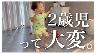 【1日密着】2歳児あるあるに注目したら壮絶だった