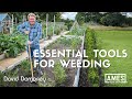 David Domoney: What tools are essential for weeding in the garden