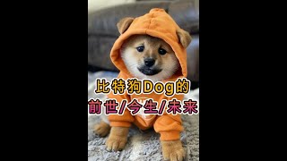 【比特狗DOG的崛起】：比特币精神的全新传承，自由与公平的革命之路！Runestone/Runedog