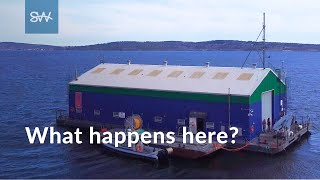 What's in the Barge? | SaltWire