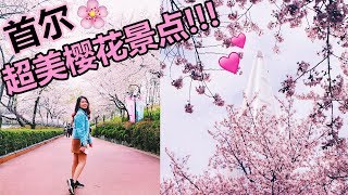 2018 韩国追樱花之旅 EP2 | 人生第一次看那么美的樱花!!! // 韩国vlog