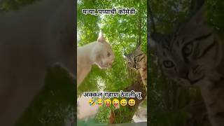 अक्कल गहाण ठेवली तू 🤣😂😝#मन्यापप्या चीकॉमेडी#shorts#viralshorts#ytshorts#funny#animals#comedy