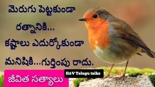 jeevitha satyalu#12|inspiring quotes|motivational quotes|మంచి మాటలు