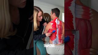 Back Anatomy 101 painted on a live human #shorts #anatomy