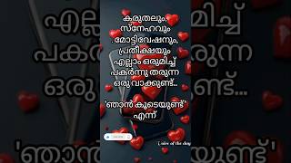 ഞാൻ കൂടെ ഉണ്ട് 🥰#reels #malayalamstatus #malayalamlovesong #viralvideo #viralstatus #youtubeshorts