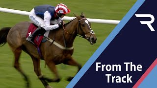 Shakem Up'Arry, owned by Harry Redknapp, gets the tactics spot-on at Haydock Park - Racing TV