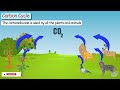 what are matter cycles carbon cycle definition steps importance diagram u0026 facts science