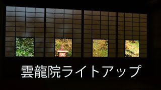 超穴場「雲龍院」ライトアップ　紅葉京都　ゆっくり出来て京都を堪能できます。