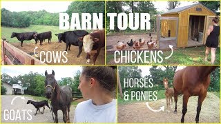 BARN TOUR! Meet all the animals!