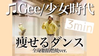 楽しく3分脂肪燃焼🔥マンションOK🙆‍♀️【痩せるダンス】♫Gee/少女時代