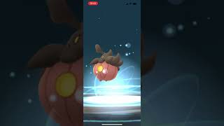 【ポケモンGO】バケッチャをパンプジンに進化！/Pumpkaboo evolved  Gourgeist ！#shorts