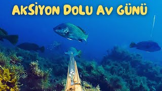 Erdek'te aksiyon dolu zıpkınla balık avı | Levrek, eşkina, karagöz, mırmır, kefal