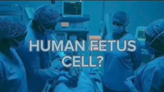 How companies used aborted human fetus cell in cosmetics creams!