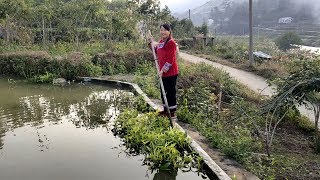 鱼塘被哥哥修整成啥样了？秋子打算继续养鱼，大家有什么建议吗