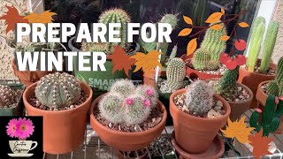 VLOG#6: My Fall Tasks | Preparing for Winter | Care for Cactus