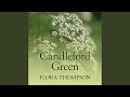 Chapter 9.14 - Candleford Green