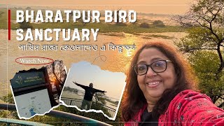 EP-01 Rajasthan Trip পাখি দেখতে ভরতপুরের কেওলাদেও ন্যাশনাল পার্কেI Bharatpur Bird Sanctuary