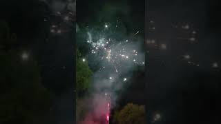 Turtle 100 Shot Firework
