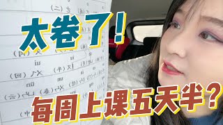 加拿大孩子一周上五天半课？居然卷成这样？28种国际语言，竟然有3个是中文！｜欢迎订阅【杰森雪梨的一天】