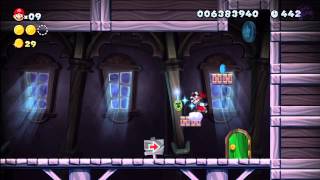 Frosted Glacier - Swaying Ghost House [New Super Mario Bros Wii U]