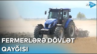 Fermerlərə dövlət qayğısı, buğda istehsalının stimullaşdırılması üçün atılmış addım - DETALLAR