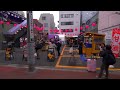 tokyo meguro riverside with cherry blossoms in full 4k hdr