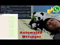 Automatic WhatsApp Messenger Program with Python