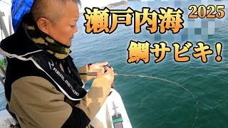 瀬戸内海タイサビキ❗2025年1月5日