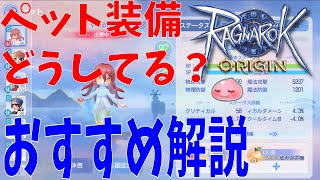 【ラグオリ】ペットの装備どうしてる？各部位のおすすめ付与ステータス教えます！固定値は神ステだぞ！【Ragnarok Origin】