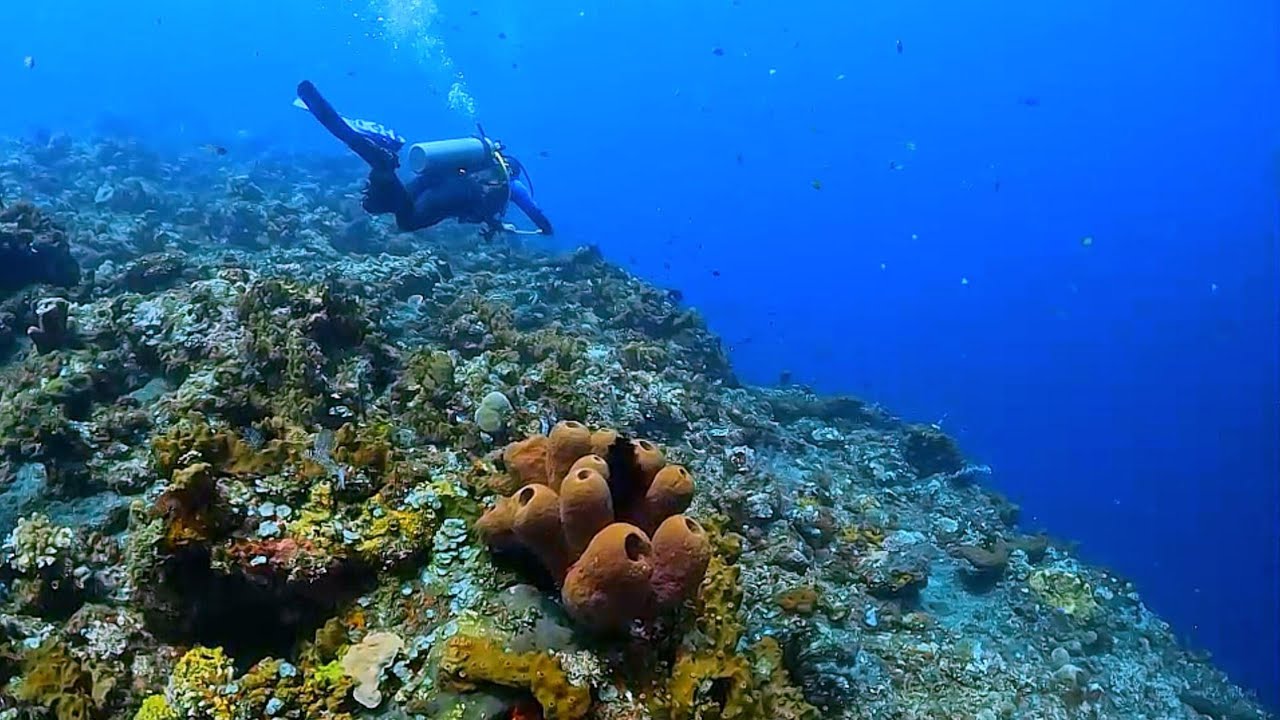 The Drop Off Tulamben Bali Indonesia Youtube