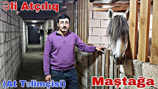 ƏLİ Atçılıq MAŞTAĞA ( Mehder) #attelimkisi #yorgaatlar