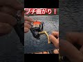 突然竿をブチ曲げた魚の引きは回遊魚とは違うもの？！なんとか正体が見たい、、 沖縄　 釣り　 フカセ釣り　 okinawa fishing