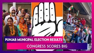 Punjab Municipal Election Results: Congress Sweeps Urban Body Polls, BJP Routed Amid Farmer Protests