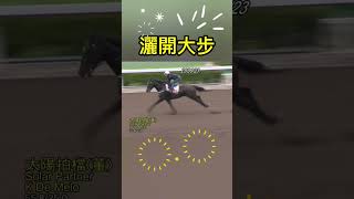 Big John 睇馬-晨操FIT馬：太陽拍檔@27-09-2023 第九場