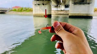 小さいルアーで大きい魚を釣る　【沖縄釣り　沖縄ルアーフィッシング　アジング】