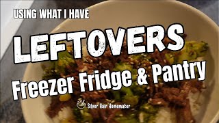 LEFTOVERS | Freezer Fridge \u0026 Pantry | Using What I Have