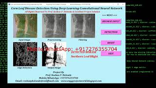 Corn Leaf Disease Classification Using CNN Python Code | Corn Plant Disease Identification