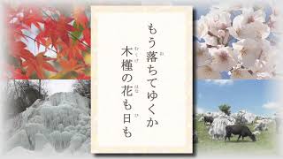 テレビ愛媛「きょうの俳句」「もう落ちてゆくか木槿の花も日も」須原和男作　2017年8月30日放送（No.162）